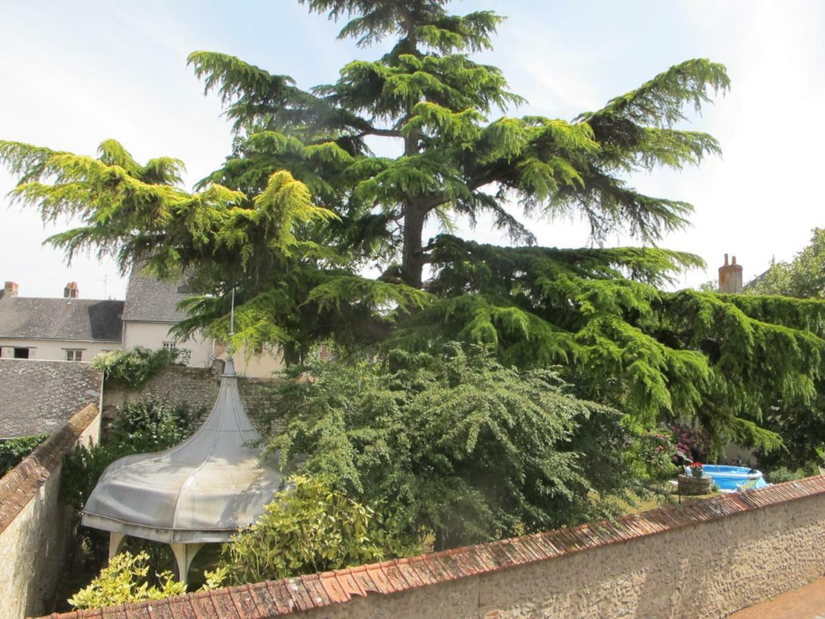 L'Etape Des Chateaux Le 2 Bis 卢瓦尔河畔默恩 外观 照片